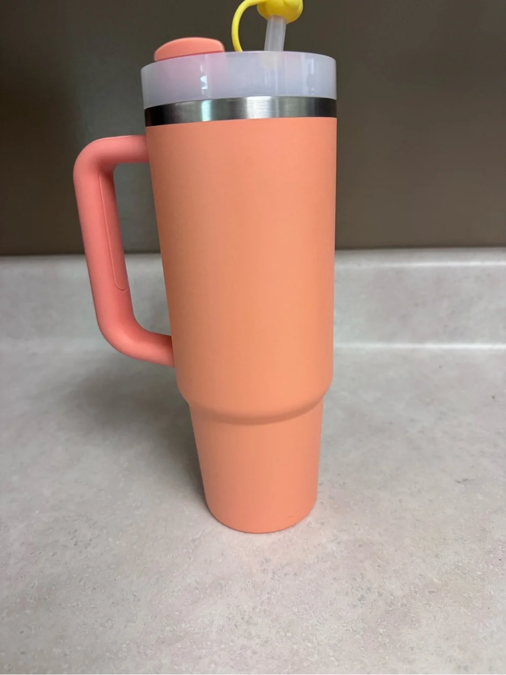 Stanley coral insulated